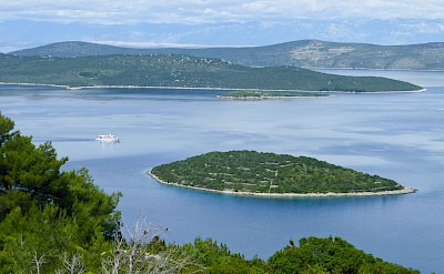 To the Spice Island of Dugi Otok, Croatia.