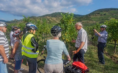 Danube River E-Bike & Boat Tour