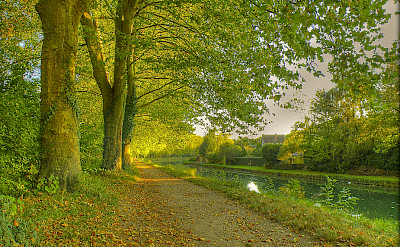Cycle in France along the Canal du Loing, Nemours - photo via Flickr:@lain G