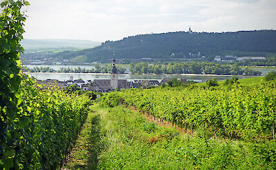 Rhine River through Rüdesheim, Germany. Flickr:Andrew Gustar