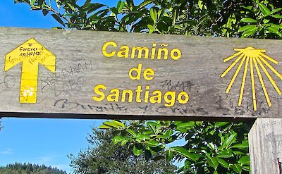 Many signs along the Camino de Santiago Route. Flickr:Banxietyfree