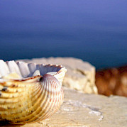Riccione - Villages & Castles Photo