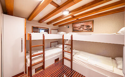Quad bunk bed cabin ©TO