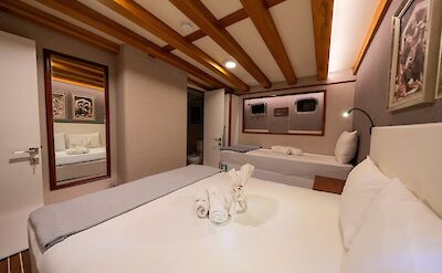 Twin or Triple Cabin | Boreas | Bike & Boat Tour