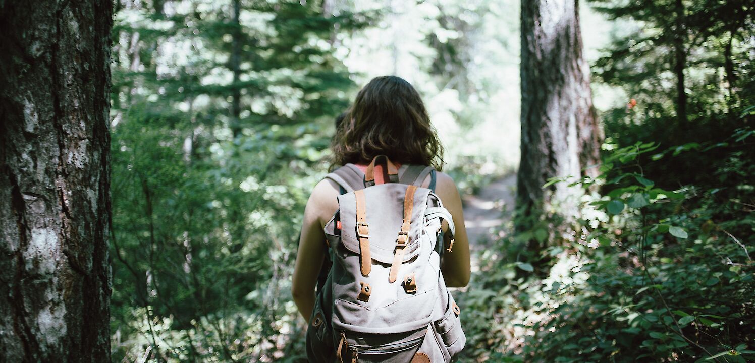 Women hiking. Falls Creek Falls, USA. Jake Melara@Unsplash