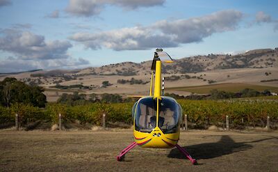 Landed helicopter, Barossa Valley, Australia. CC:Barossa Helicopters