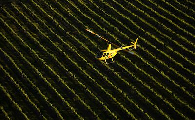 Helicopter flying over vineyards, Barossa Valley, South Australia, Australia. CC:Barossa Helicopters