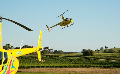 Helicopters lifting off, Barossa Valley, South Australia, Australia. CC:Barossa Helicopters