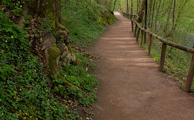 Forest bicycle path in Germany's "green heart". Photo via Flickr by Nickinexsilio