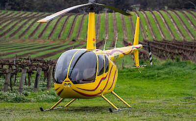 Helicopter in the vineyard at Kies Family Wines, Barossa Valley, Australia. CC:Barossa Helicopters