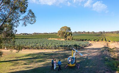 Walking to the helicopter at Kies Family Wines, Barossa Valley, Australia. CC:Barossa Helicopters