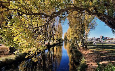 Avon River, Christchurch, New Zealand. Bernard Spragg@Flickr