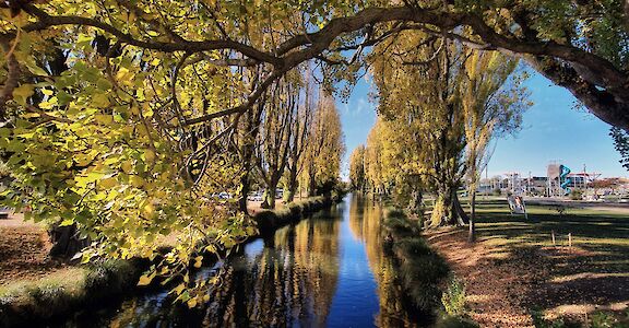 Avon River, Christchurch, New Zealand. Bernard Spragg@Flickr