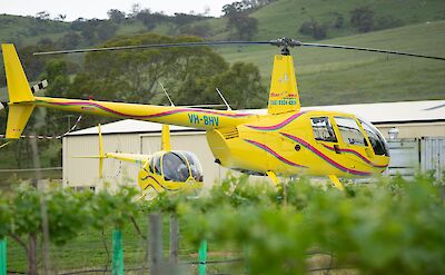 Helicopters in the Barossa Valley, Australia. CC:Barossa Helicopters