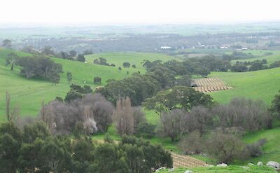 Rowland Flats, Barossa Valley, South Australia. Flickr:Gawler History