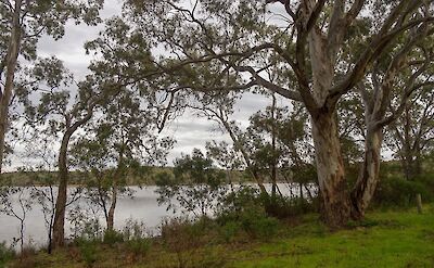 Barossa Reservoir, South Australia. Flickr:Michael Coghlan