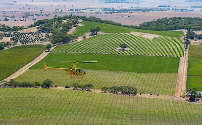 Flying over green fields, Barossa Valley, Australia. CC:Barossa Helicopters