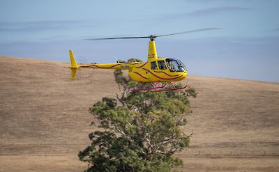 In flight, Barossa Valley, Australia. CC:Barossa Helicopters
