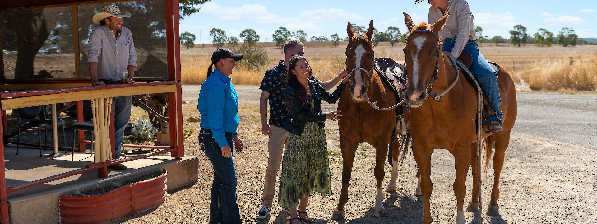 Greeting the horses at the Wheatsheaf, Barossa Valley, Australia. CC:Barossa Helicopters