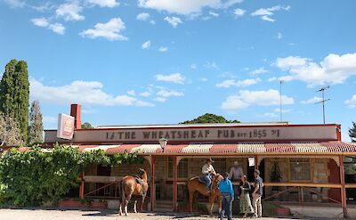 Horses standing outside the Wheatsheaf Hotel, Barossa Valley, Australia. CC:Barossa Helicopters
