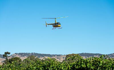 Flying over vineyards, Barossa Valley, Australia. CC:Barossa Helicopters