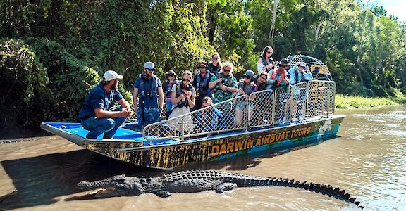 Bonecruncher wild crocodile with the airboat, Darwin, Australia. CC:Top End Safari Camp