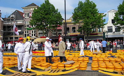 Cheese market (Kaasmartkt) in Alkmaar. Photo courtesy of the Netherlands Board of Tourism