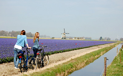Quiet flat bike paths past lots of windmills in the Polderland of Holland. Photo courtesy of the Netherlands Board of Tourism