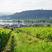 Mainz to Merzig - Along the beautiful Rhine River in Rüdesheim, Germany. Flickr:Andrew Gustar 49.845126, 7.812849
