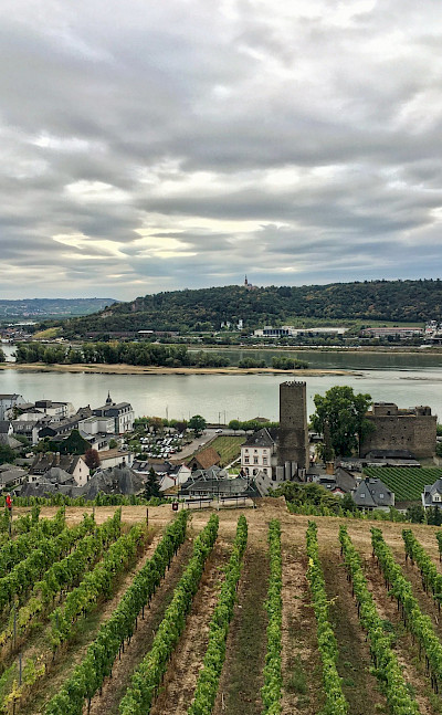 Rüdesheim am Rhein, Germany. Flickr:Marint Fisch