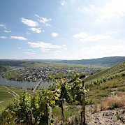Merzig to Mainz or Mainz to Merzig Photo