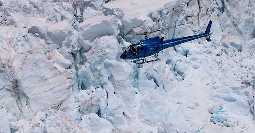 Soaring above the glaciers.