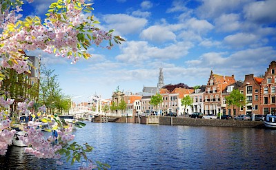 Haarlem, North Holland, the Netherlands.