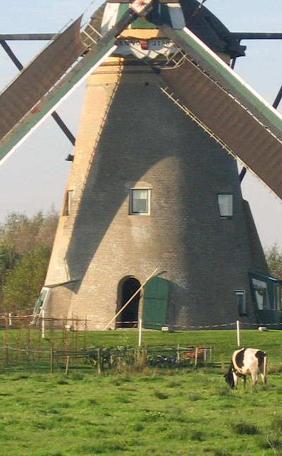 Kinderdijk, a UNESCO World Heritage Site, has many windmills, South Holland. Photo via Flickr:johnmcq
