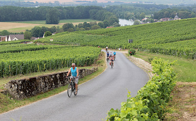 Biking the Champagne, France. ©TO