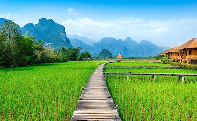 Boardwalk in the Mekong Delta, Vietnam. Unsplash:Getty Images