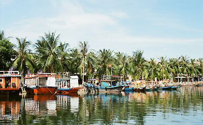 Boats and palm trees, Hoi An, Vietnam. Unsplash: Z E Cycgnezsrio 