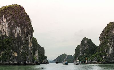 Boats in Ha Long Bay, Vietnam. Unsplash:Thanti Riess