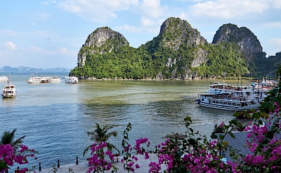 Ha Long Bay, Vietnam. Flickr:Radek Kucharski