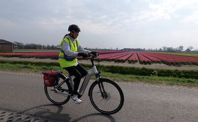 Cycling along the colorful tulip fields | Photo from TO