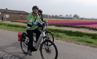 Cycling along the colorful tulip fields | Photo by TO