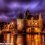 Tulip Tour - 5 day Photo