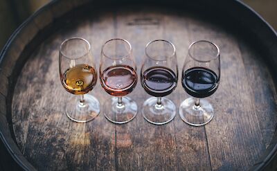four types of wine for tasting, Rome, italy. Unsplash: Maksym Kaharlytskyi