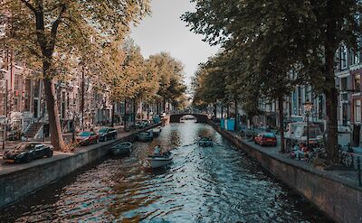 Trees along a canal, Amsterdam. Unsplash: Eiriks Karstein