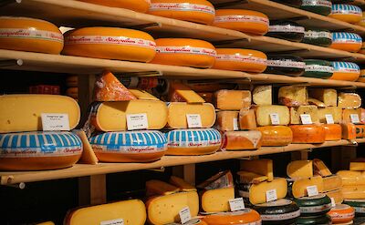 Dutch cheese, Amsterdam, Netherlands. Haberdoedas@Unsplash