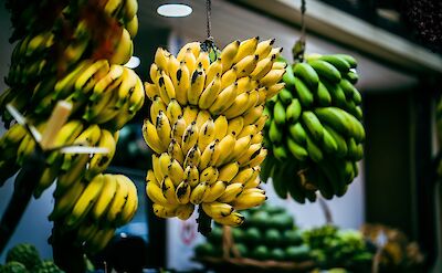 Bananas in a Portugese market, Portugal. Unsplash: Artem Zhukov