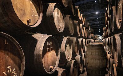 Barrels of wine in a cellar, Porto, Portugal. Unsplash: Svetlana Gumerova