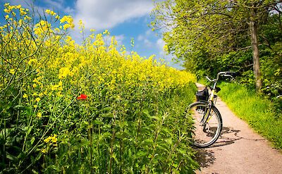 Biking on Ven Island, Sweden. Flickr:Maria Eklind