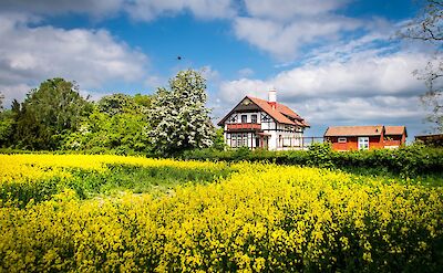 Swedish summer in Ven, Sweden. Flickr:Maria Eklind 