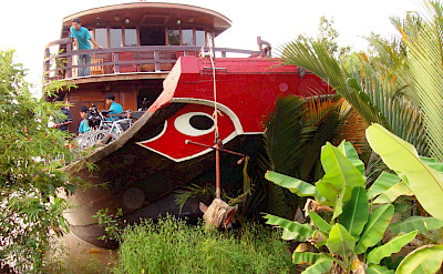 Vietnamese Junks | Bike & Boat Tours
